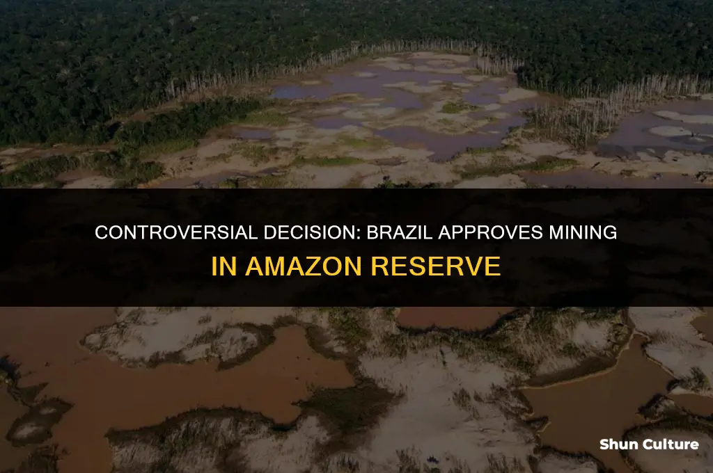 is brazil allowing mining in amazon reserve