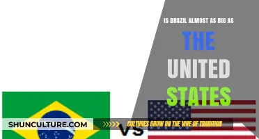 Comparing Giants: Brazil's Size Relative to the United States
