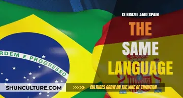 Exploring Linguistic Similarities: Are Brazilian Portuguese and Spanish the Same?