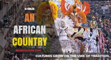 Is Brazil African? Exploring Cultural, Historical, and Demographic Connections