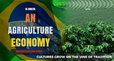 Exploring Brazil's Economic Roots: Is Agriculture the Backbone?