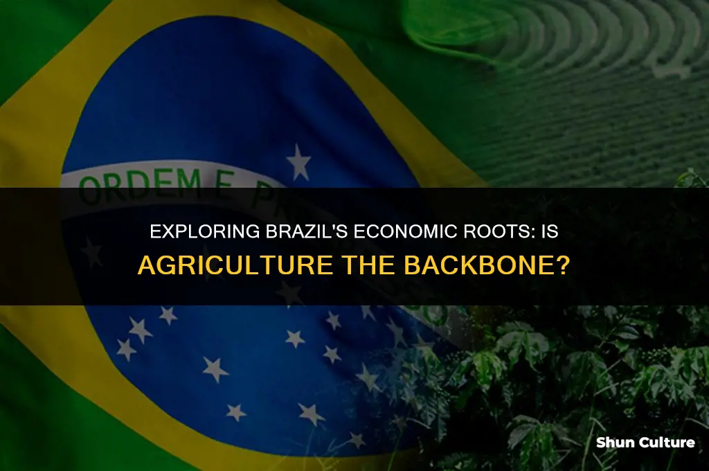 is brazil an agriculture economy