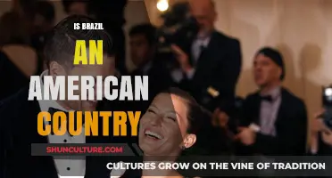 Is Brazil an American Country? Exploring Geography, Culture, and Identity