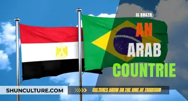 Is Brazil an Arab Country? Exploring Cultural and Historical Connections