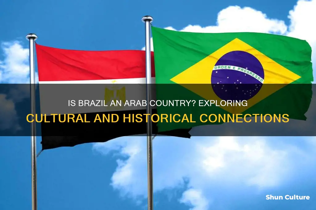 is brazil an arab countrie