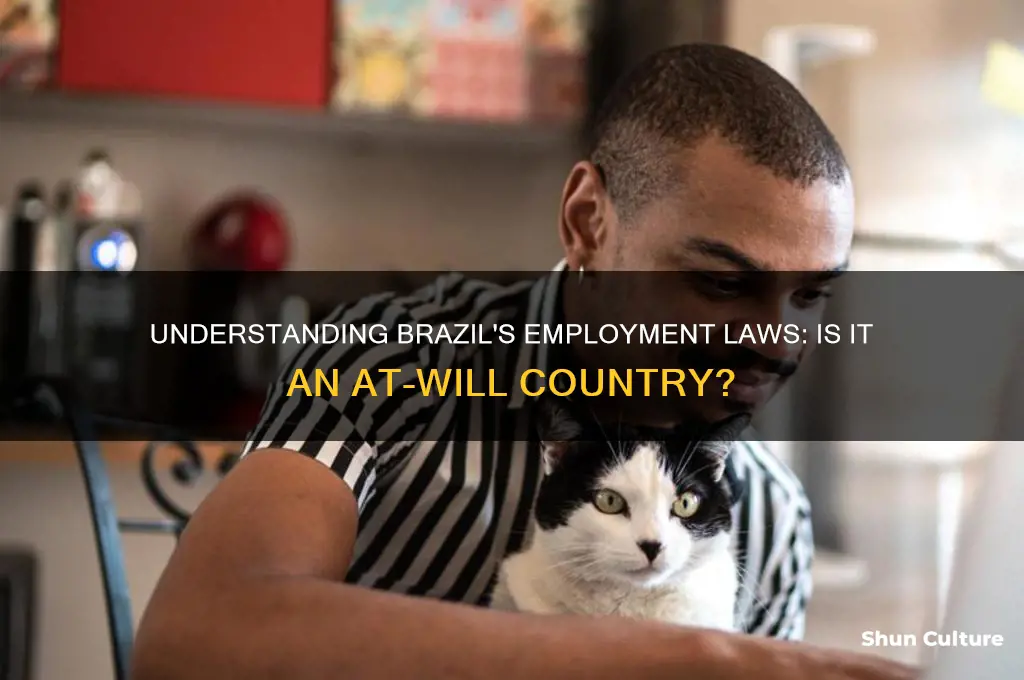 is brazil an at will employment country