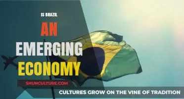 Brazil's Economic Rise: Emerging Market or Global Powerhouse?