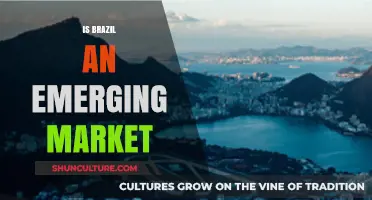 Brazil's Economic Potential: Is It Still an Emerging Market?