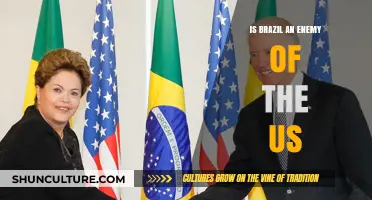 Brazil-US Relations: Friend or Foe in the Global Arena?