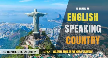 Is Brazil English-Speaking? Unraveling Language Myths About the Country