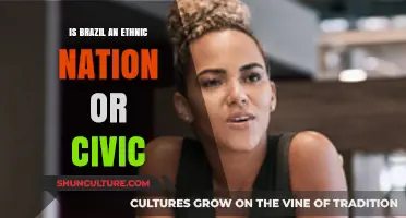 Exploring Brazil's Identity: Ethnic Nation or Civic Society?