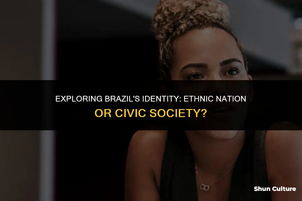 is brazil an ethnic nation or civic
