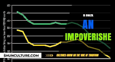 Exploring Brazil's Economic Landscape: Impoverishment and Progress