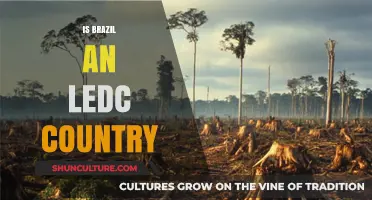 Is Brazil an LEDC? Exploring Its Economic Development Status