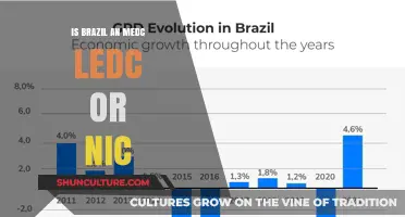 Decoding Brazil's Economic Status: MEDC, LEDC, or NIC?