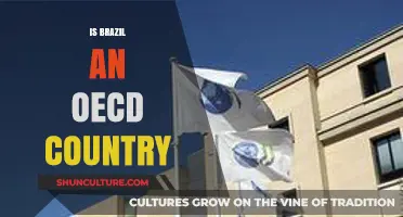 Is Brazil an OECD Country? Exploring Membership Status and Implications