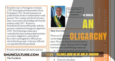 Exploring Brazil's Political Landscape: Oligarchy or Democracy?