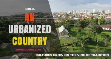 Brazil's Urbanization: A Comprehensive Look at Its City-Centric Growth
