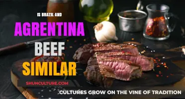 Exploring the Flavorful World of Brazilian and Argentine Beef