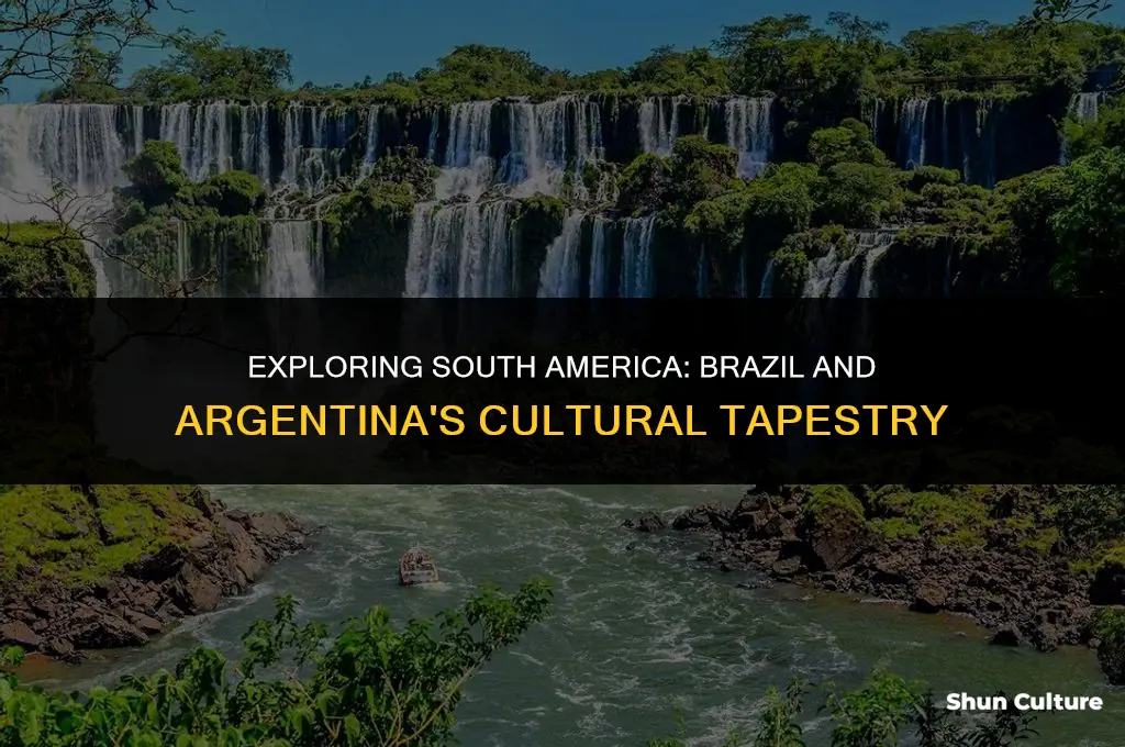 is brazil and argentina in south america