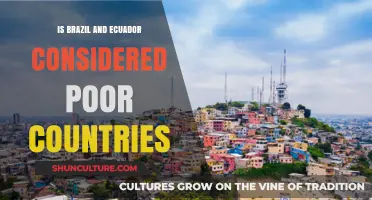 Are Brazil and Ecuador Economically Disadvantaged Nations? A Closer Look