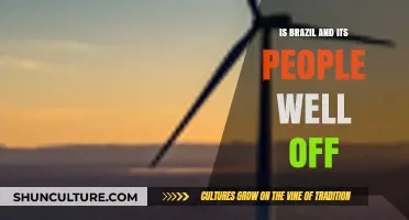 Brazil's Wealth and Well-being: Are Its People Truly Prosperous?