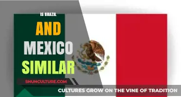 Exploring the Intricacies: Brazil and Mexico's Cultural and Economic Parallels
