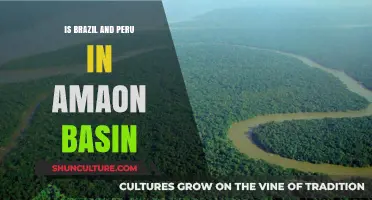 Exploring the Amazon Basin: Brazil and Peru's Shared Treasure