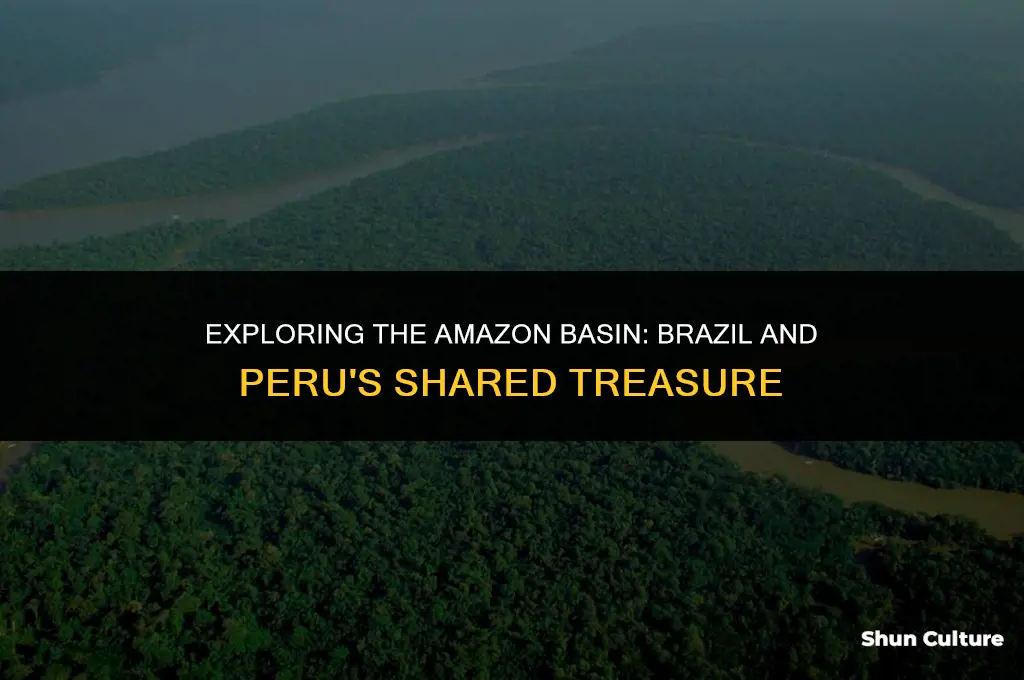 is brazil and peru in amaon basin