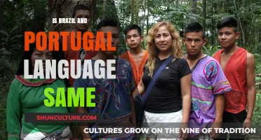 Exploring the Linguistic Ties: Are Brazilian Portuguese and European Portuguese the Same?