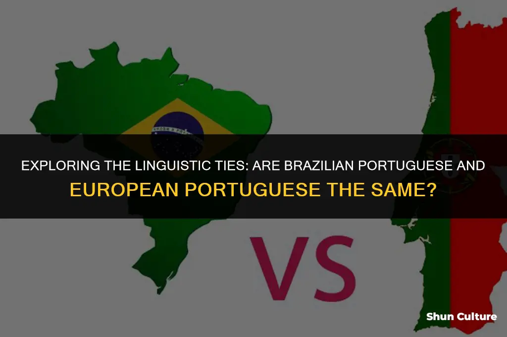 is brazil and portugal language same