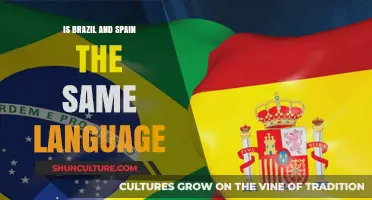 Exploring Linguistic Similarities: Is Brazilian Portuguese the Same as Spanish?