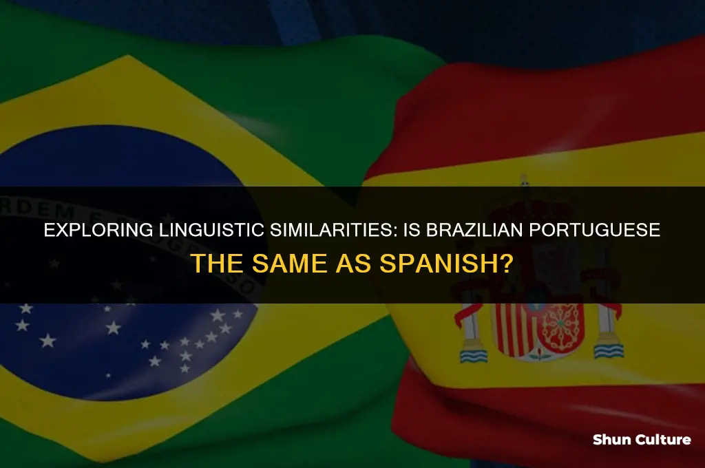 is brazil and spain the same language