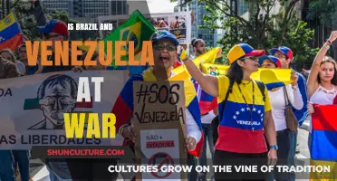 Brazil and Venezuela: Analyzing the Complex Dynamics of Their Relations