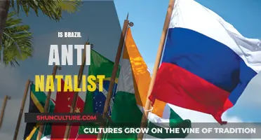 Exploring Brazil's Stance on Natalism: A Comprehensive Analysis