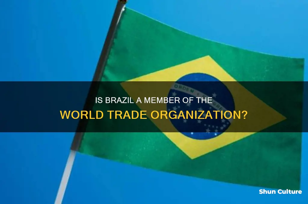 is brazil apart of the world trade organization
