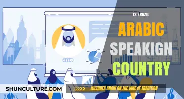 Is Brazil an Arabic-Speaking Country? Unraveling Language Myths and Facts