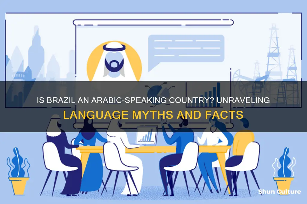 is brazil arabic speakign country