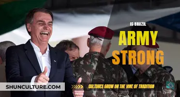 Exploring the Strength and Capabilities of Brazil's Military Forces