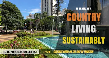 Is Brazil Embracing Sustainability? Examining Its Eco-Friendly Practices and Challenges