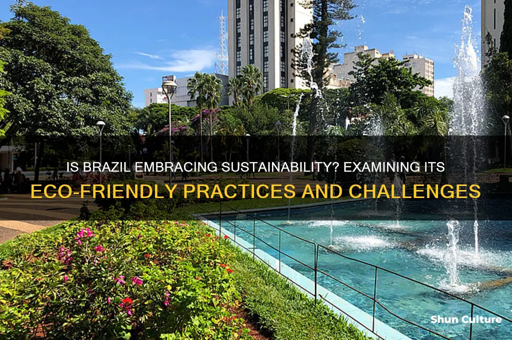 is brazil as a country living sustainably