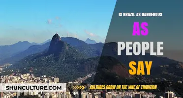Is Brazil Really Dangerous? Separating Fact from Fiction and Fear