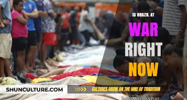Is Brazil at War? Current Conflicts and International Relations