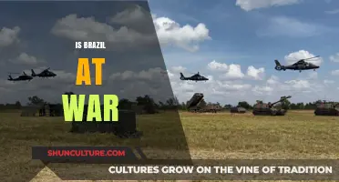 Brazil's Military Mobilization: Analyzing the Current State of Affairs
