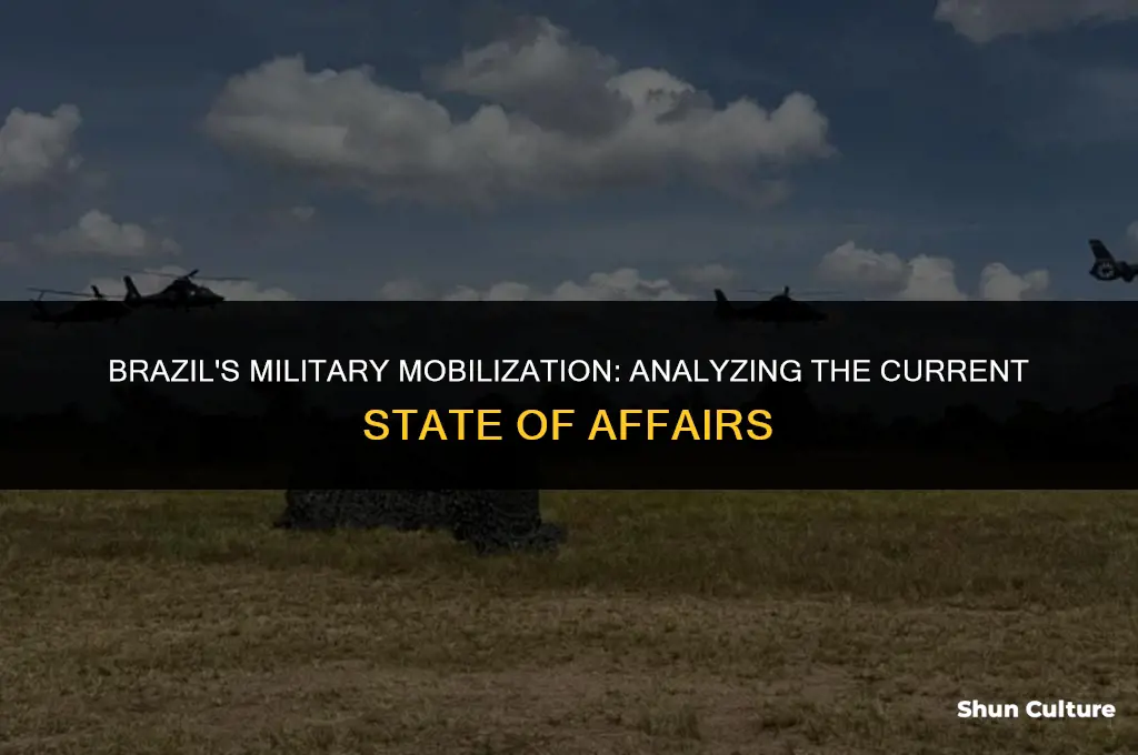 is brazil at war