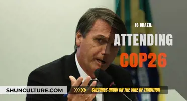 Brazil's Participation in COP26: What to Expect