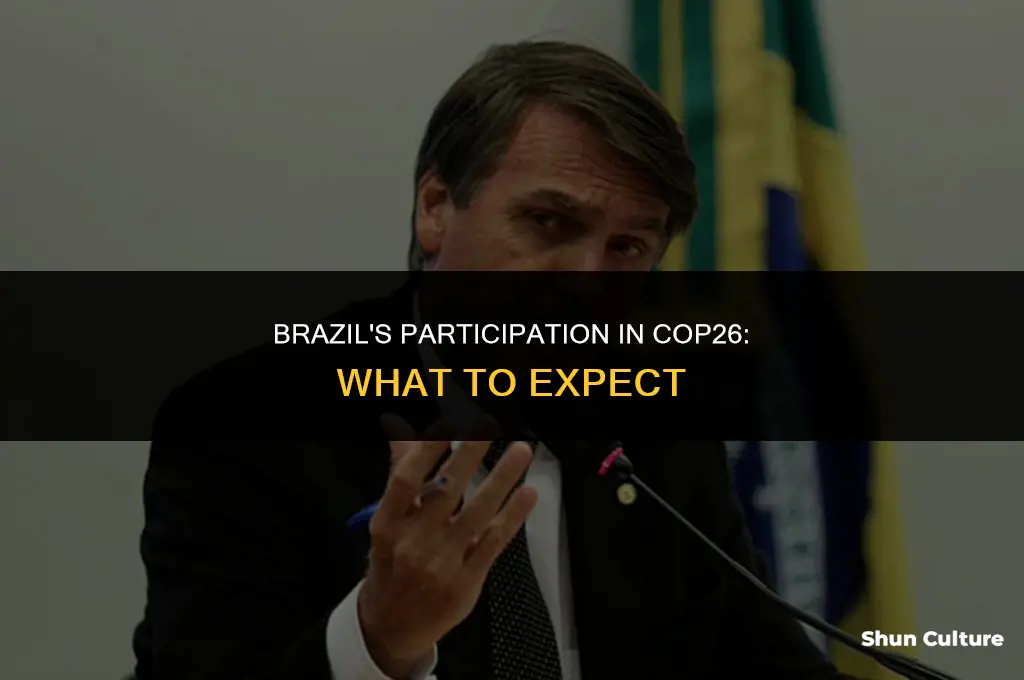 is brazil attending cop26
