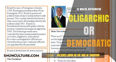 Exploring Brazil's Political Landscape: Autocratic, Oligarchic, or Democratic?