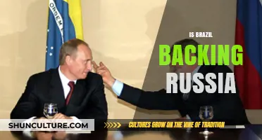 Brazil's Stance on Russia: A Complex Geopolitical Balancing Act