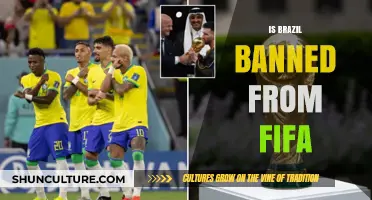 Brazil's FIFA Ban: What You Need to Know